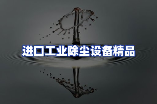 进口除尘设备