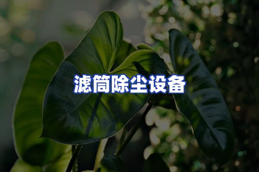 滤筒除尘设备